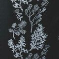 Arctic Flora Saloilta-pussilakana Musta