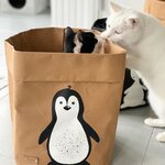 Penguin Basket Brązowy basket