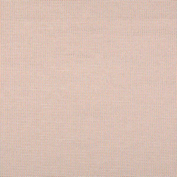 Beige 73 / Border 25