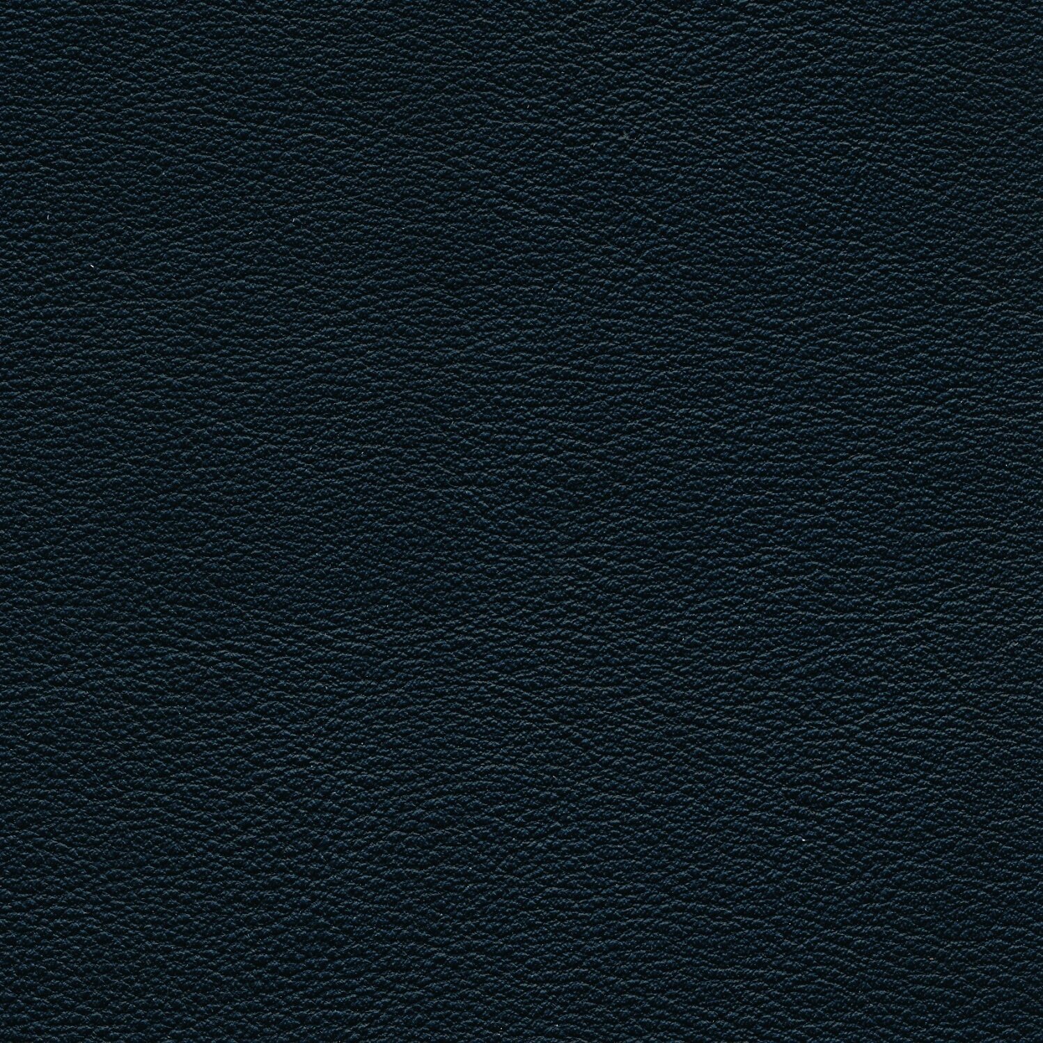 Lux Stuhl Weiß Prescott Black Ink schwarz Leder