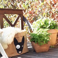 Enjoy Your Life By Demi Bull terrier-basket, brown basket / black Dog