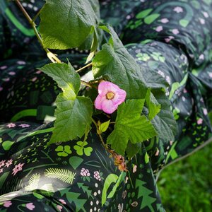 Varax Suvi-puutarhakeinu 3-hengen, Suomen metsä 87B